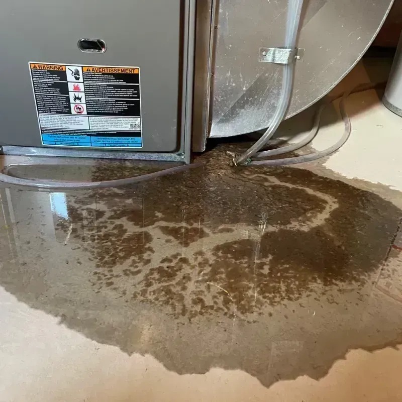 Appliance Leak Cleanup in Ledbetter, KY